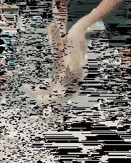 这就是传说中的土狗，为拆家而生！ ​​​​