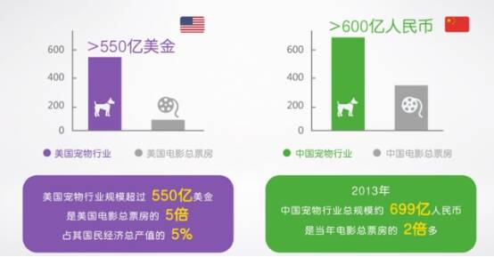 国内首家宠物直播社交平台——宠仔圈APP重磅上线