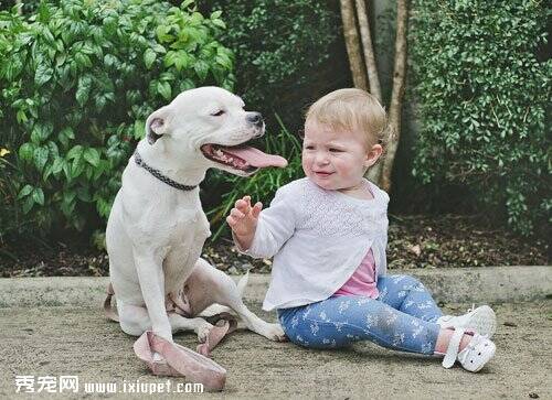 澳洲独臂女孩佩姬与被领养的三条腿波士顿混血狗成长故事