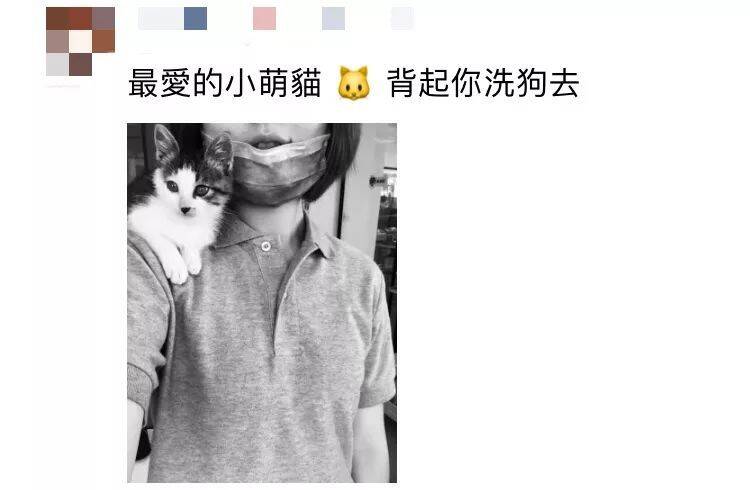 如果养猫养狗要考试，80%的人都不及格。