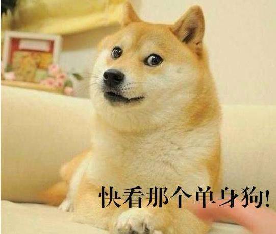 今天情人节你还是一个人么...