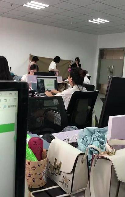 去公司应聘时偶遇一只加菲猫，凑近一看后，网友被它萌翻了