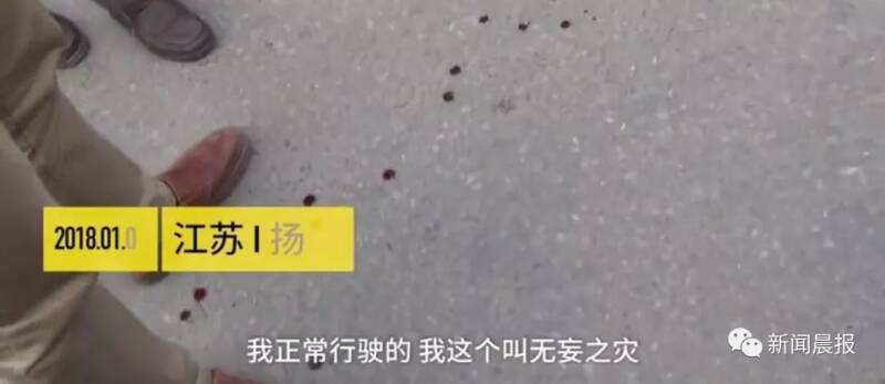 狗狗过马路没拴绳被撞死，司机：我守法，凭什么要赔？