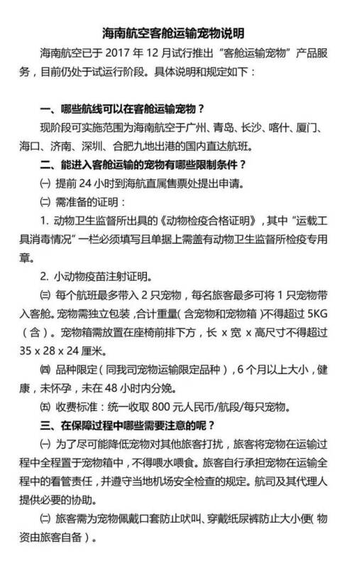 宠物重量不能超过5公斤！好气我家狗子根本买不了宠物机票