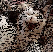 真的太有魔性了，看的根本停不下来！！！