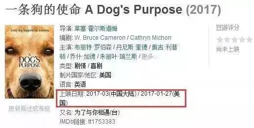 《忠犬八公》的导演回归了，请准备好眼泪和纸巾