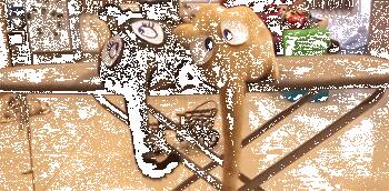 如果猫咪屁股上有眼睛的话…这画面！也太逗了！