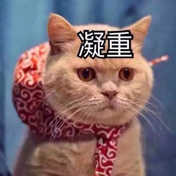 这是橘猫被黑的最惨的一次，整只喵都被当做黄色内容