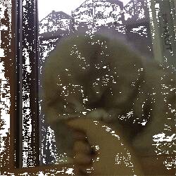 网友给自家猫示爱，冲着它比了个心，没想到猫竟然是这样的反应……