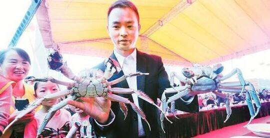 湖北螃蟹文化旅游节的螃蟹竞拍价高达21万