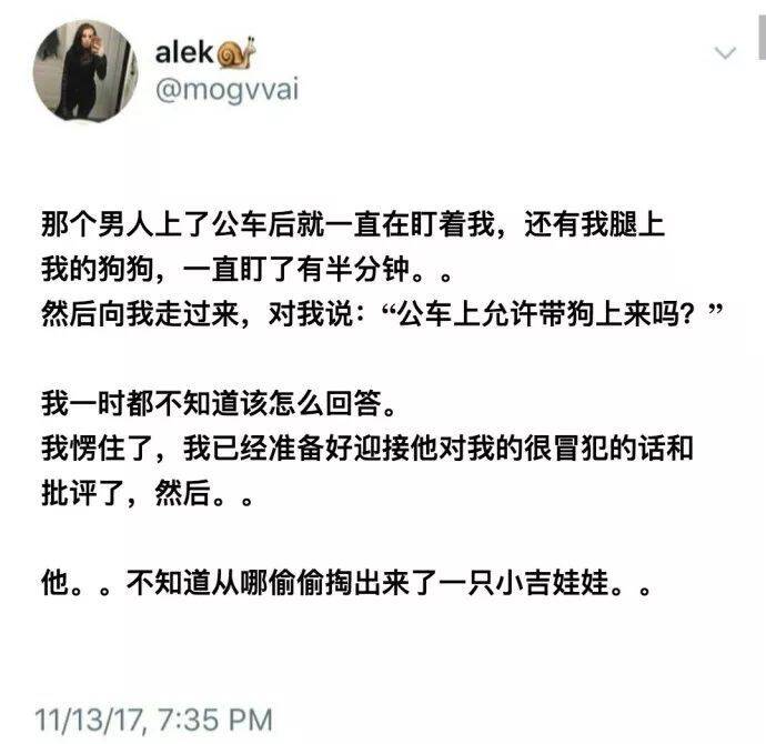 为什么喜欢小型犬？也许这是最好的答案...