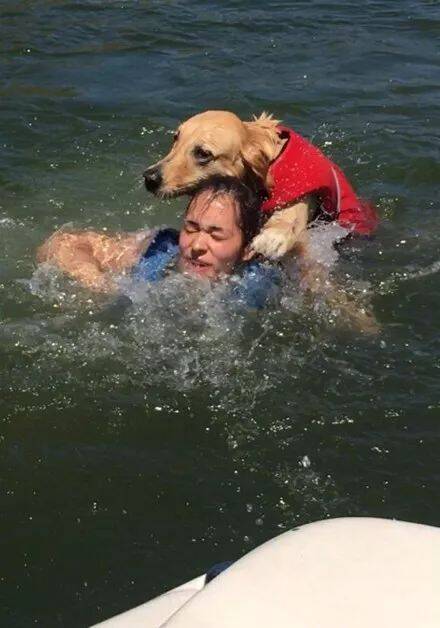 主人带狗狗去玩水，本来是温馨的一天，却差点要了他的命.....