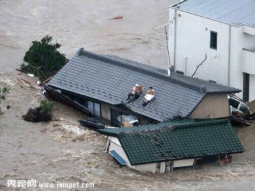 日本18号台风致茨城县洪涝灾害 居民抱狗爬屋顶等救援