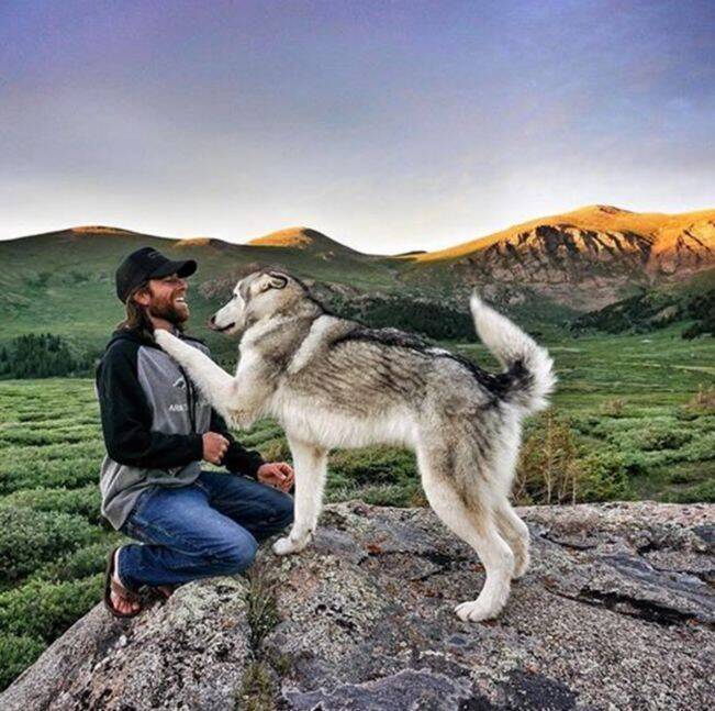 看到爱犬在家忧郁寂寞，于是他做了一个让人意外的决定！