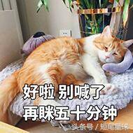 如何有效的改善你的睡眠质量？