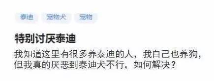 这些事，只有养了泰迪之后才能体会到