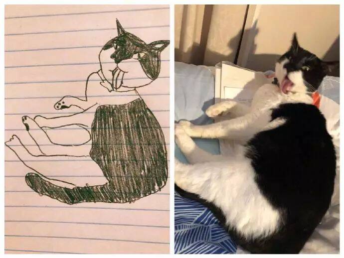网友喜欢没事时画自家奶牛猫，别说这画风还不错，我打99分...
