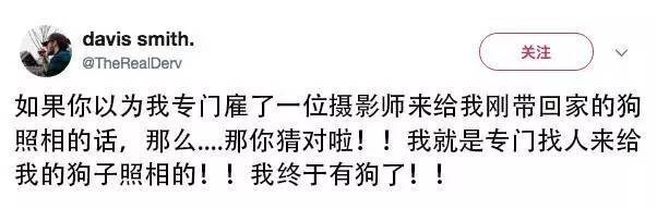 不好意思，我有狗了，你以后不能在欺负我了....