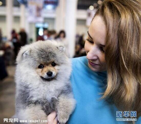 维尔纽斯举办国际宠物犬展 参展宠物约1500只