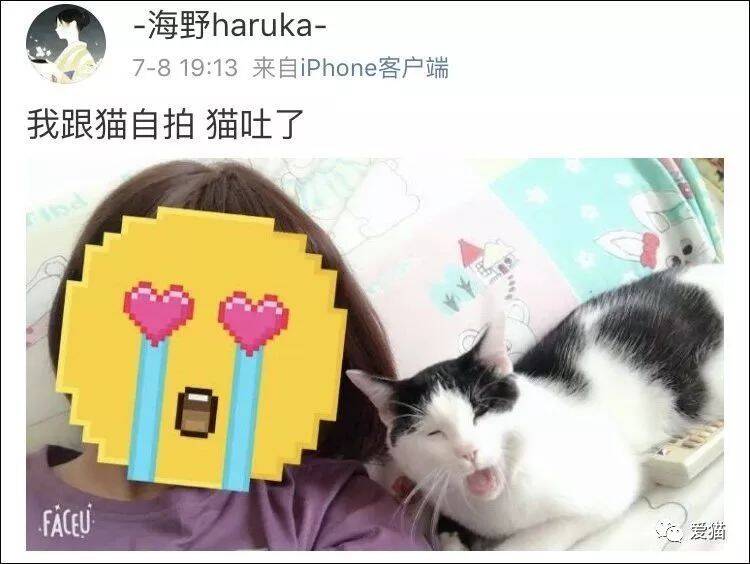 “我跟猫自拍，猫吐了！” ​​​​