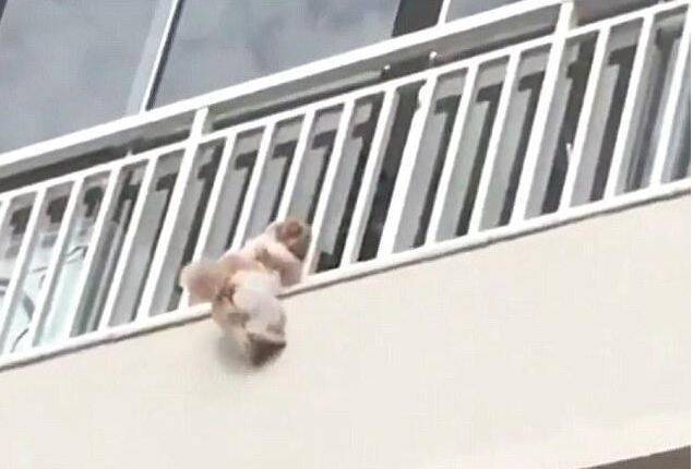 小狗意外从3楼阳台掉下，邻居七手八脚欲用床单接住……