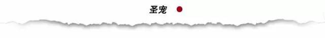 喜报：湖北黄石杨先生成功加盟圣宠，宠物店加盟选圣宠「轻·新」店型上市，全年仅一次!