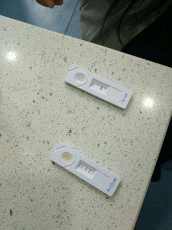 900元买下这只刚两月的小泰迪，我们噩梦就开始了