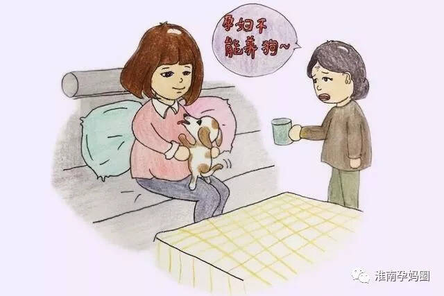 孕妇可以养狗吗？看看专家怎么说！