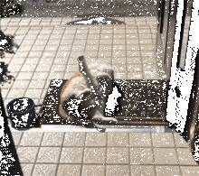 主人去找猫，看见这样一幕，当时腿就吓软了！！！