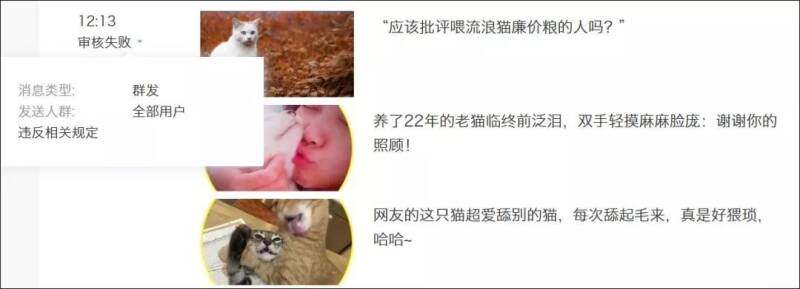 “应该批评喂流浪猫廉价粮的人吗？”