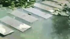 一张图，仿佛看到了人生路上的我……