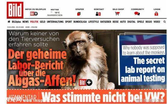 用猴子被做活体实验！德国巨头再次陷入丑闻