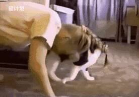 养狗要遛狗，养猫就……