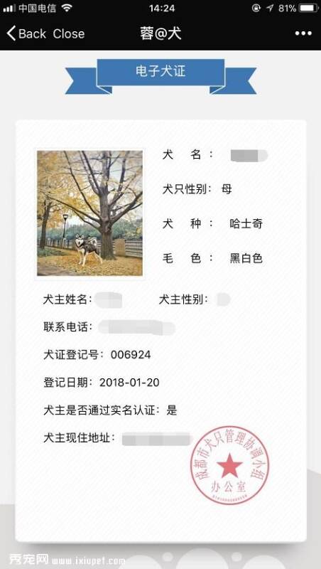 成都即将开放电子犬证,足不出户搞定养犬登记