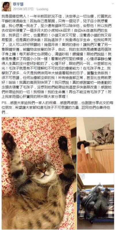 女子得了癌，想养只猫陪伴孩子，却没想到最后...