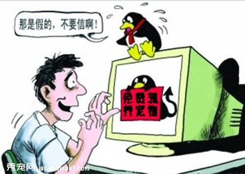 大庆一大学生网上找“免费领养宠物”被骗1万多
