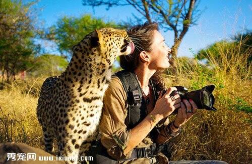 澳洲野生动物摄影师近距离拍摄豹子