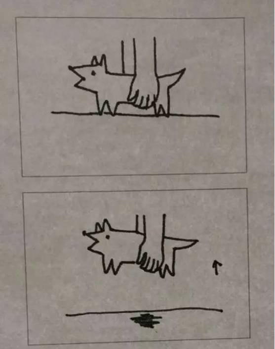 抱狗狗和抱猫猫有什么不同！