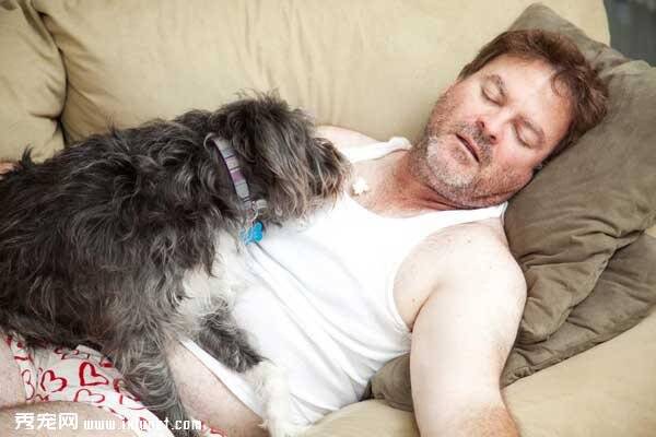 猫咪狗狗和你睡一起的姿势可以看出你们之间的关系哦！