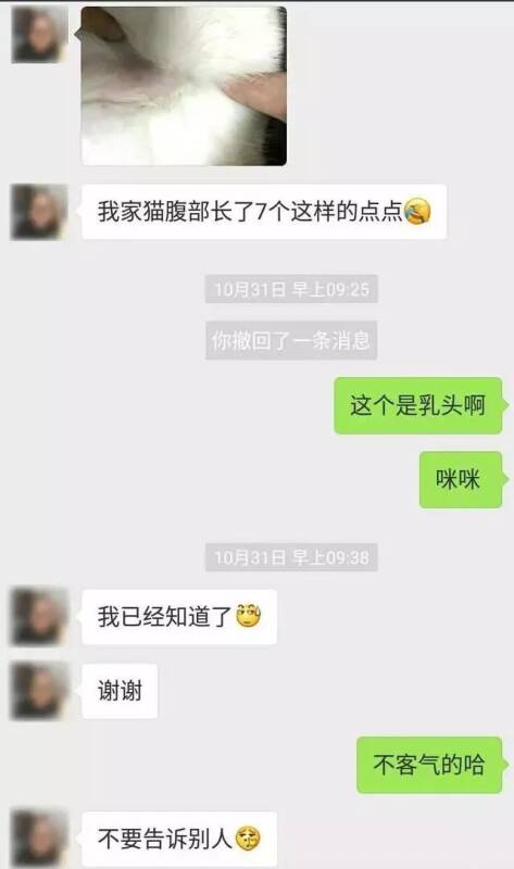 养宠后干过的那些啥事，哈哈哈，说出来怕人笑话.....