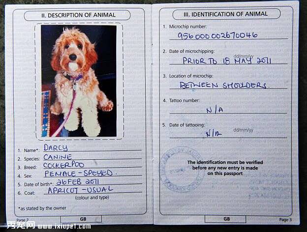狗狗也有专门护照？看英国宠友携宠物狗环球旅游【图】
