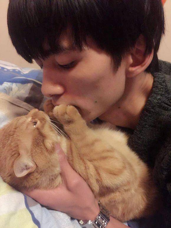 收养六个月的橘猫得了猫瘟，一天500元的治疗费用，只因不忍放弃