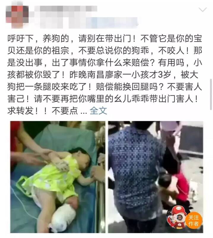 南昌3岁小孩被大狗咬掉一条腿？真相竟然是这样……