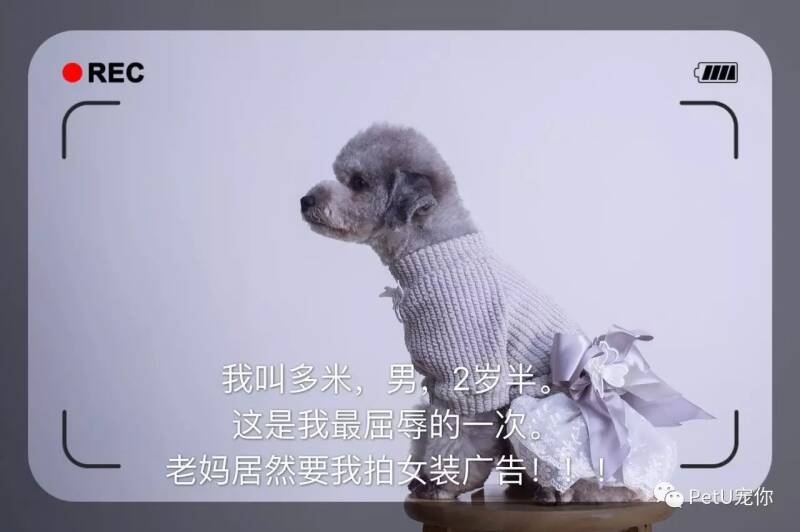 【狗葩说】给狗狗穿衣服到底好不好？