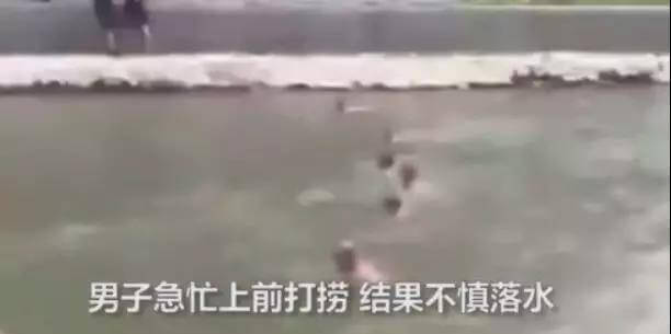 主人为救掉入河中的狗狗自己落水身亡，可网友却这样说…