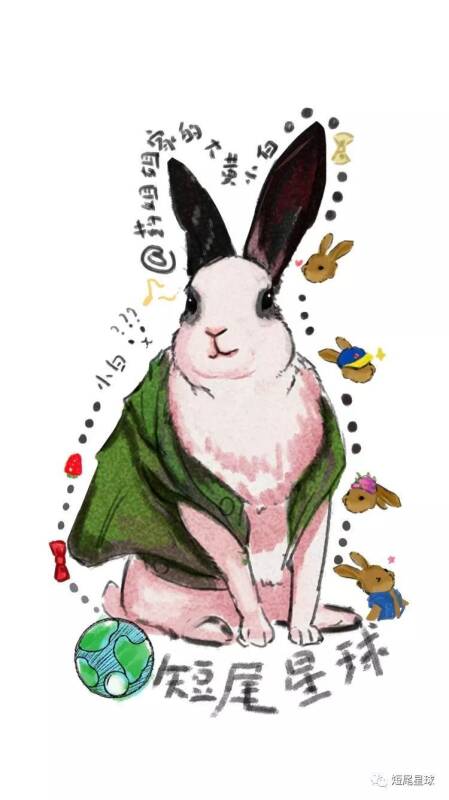 超萌手绘兔兔壁纸，你最喜欢哪一张？