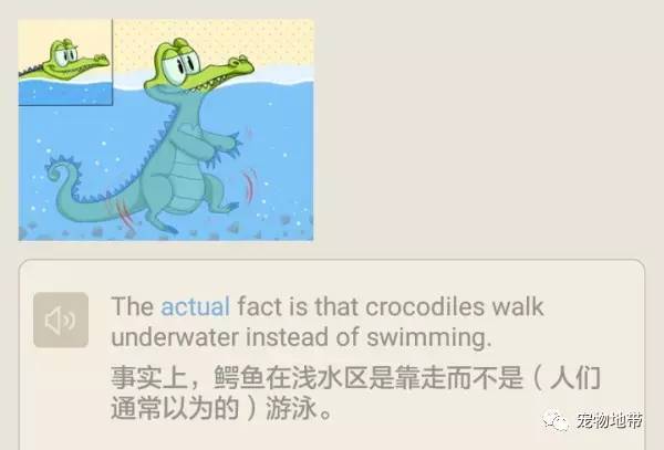 冷知识！鳄鱼在水下不游泳，而是用两只脚站着走