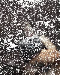 德牧咬着自己的爪子睡得特别香，结果主人把它的爪子拿起来后.....