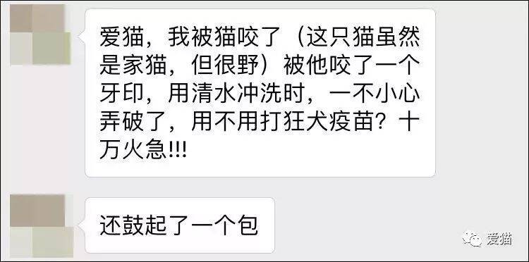 狂犬病！我们都被它骗了多少年？