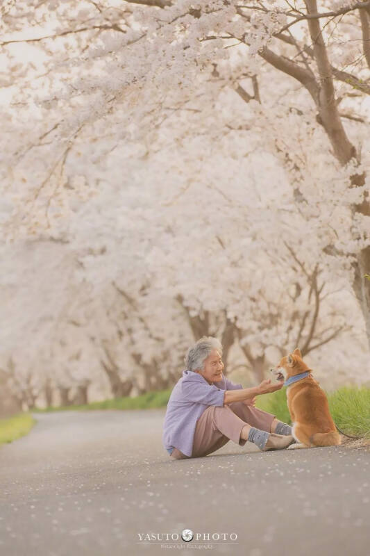 老奶奶和柴柴的温馨日常，太治愈了！